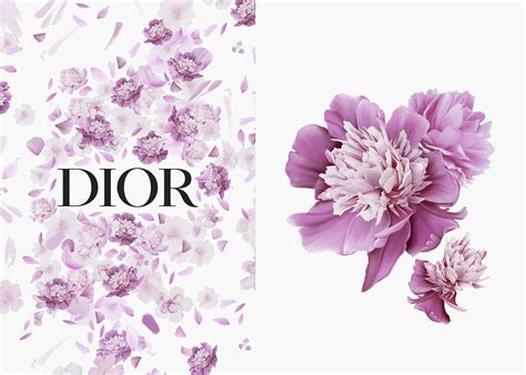 dior womens day|women's Dior website.